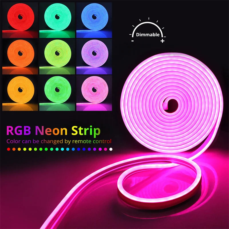 Neon rope light with remote