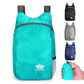 Foldable Packable Hiking Backpack
