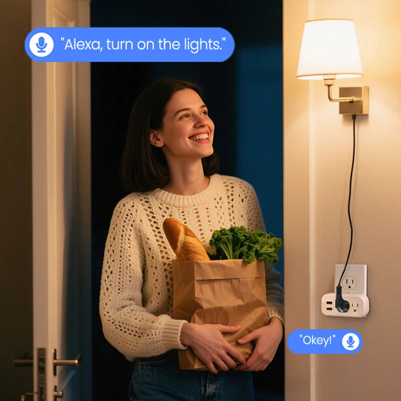 WiFi Smart Plug (App + Voice Control)