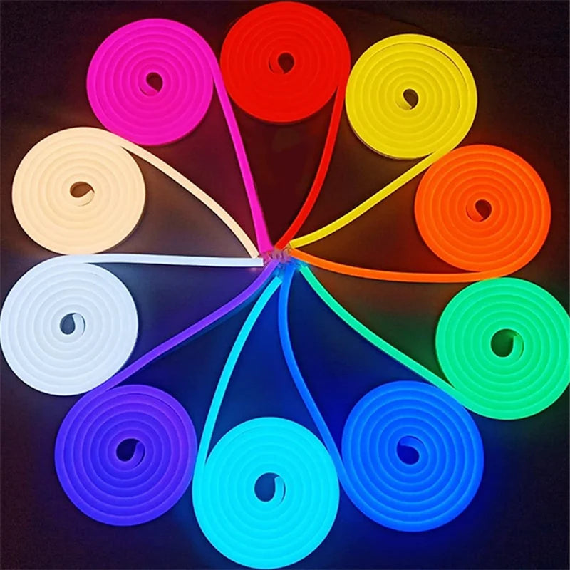 Neon rope light color modes