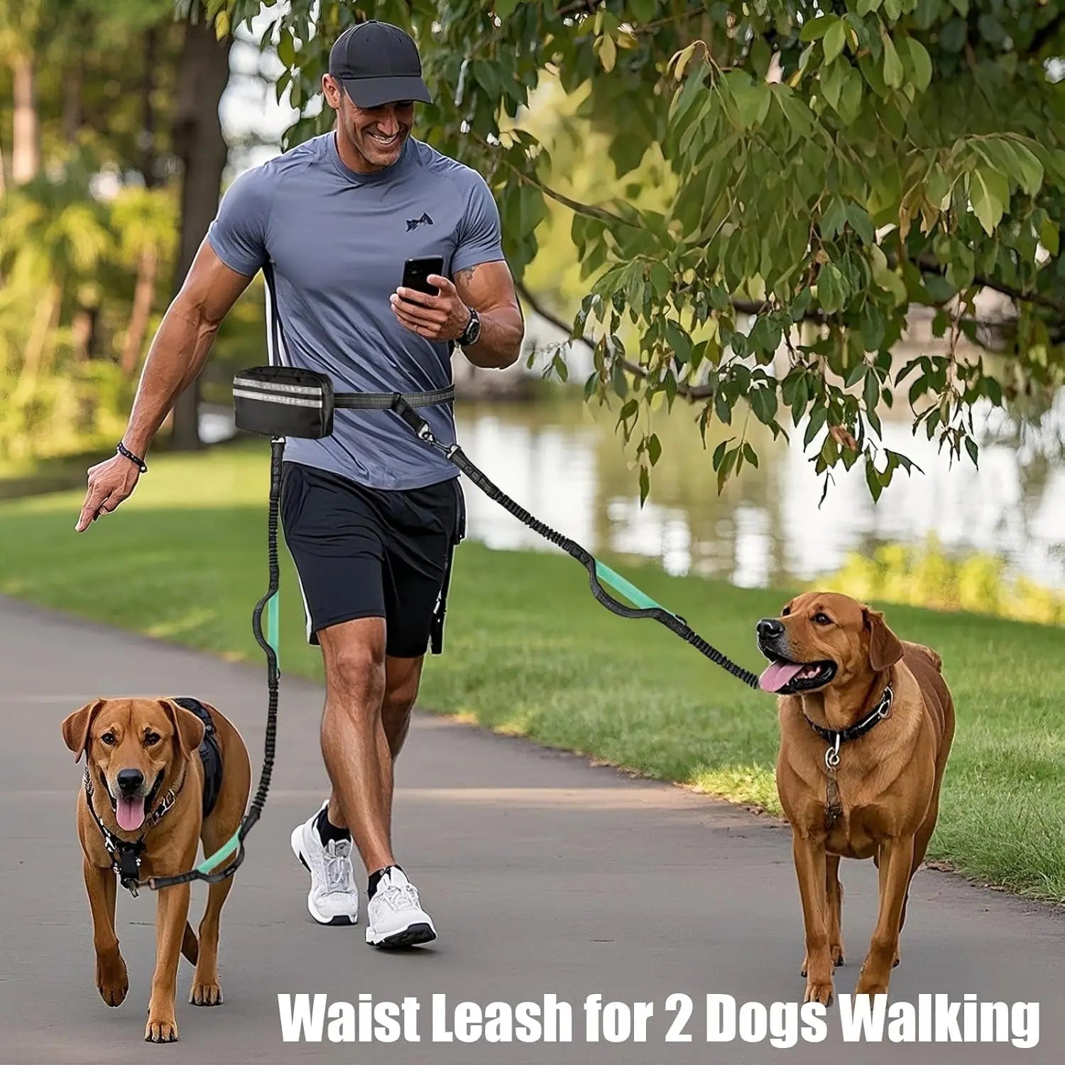 Hands-Free Dog Running Leash Belt